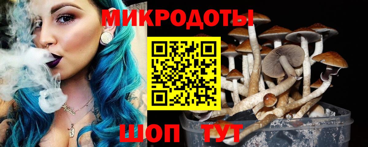 Галлюциногенные грибы GOLDEN TEACHER Железноводск