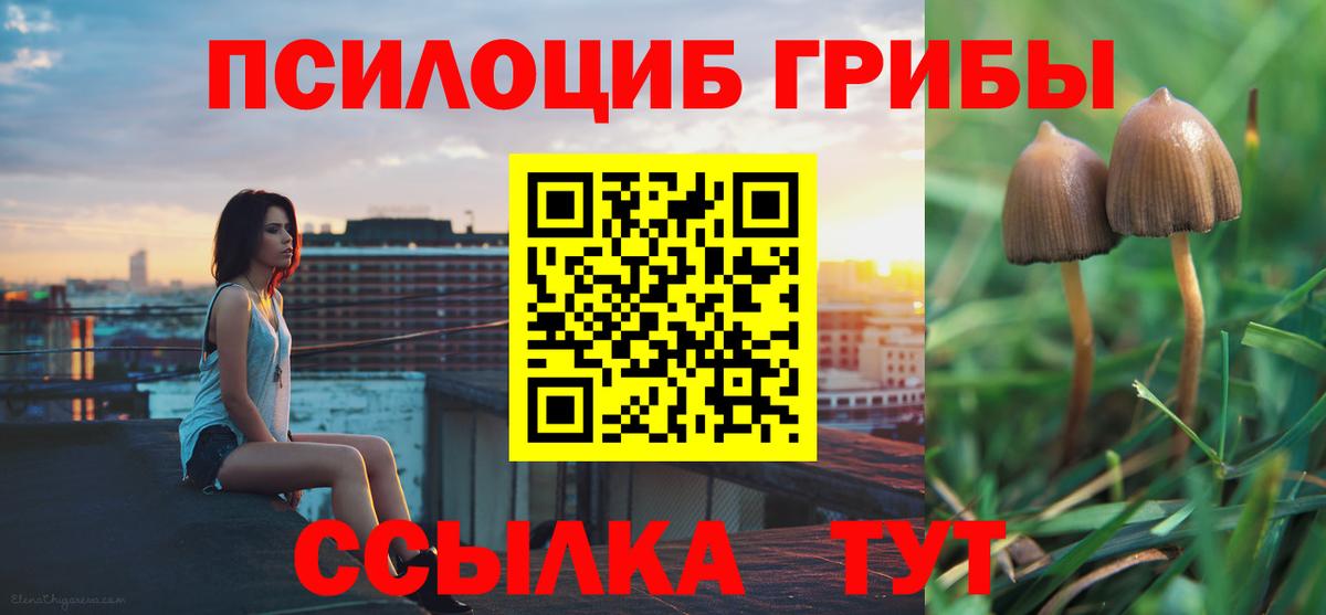 Псилоцибиновые грибы MAGIC MUSHROOMS  Вход с VPN  где найти наркотики  Железноводск  Галлюциногенные грибы ЛСД 